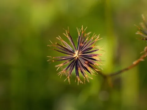 体育竞技